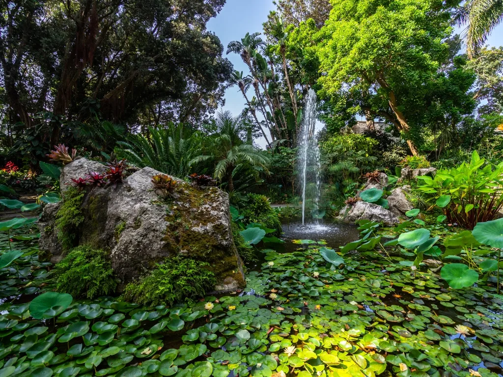 Giardini La Mortella con guida