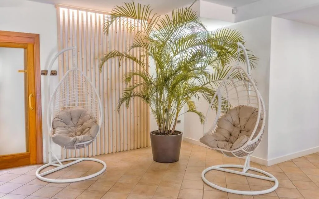 Angolo relax con sedie sospese a uovo e pianta tropicale