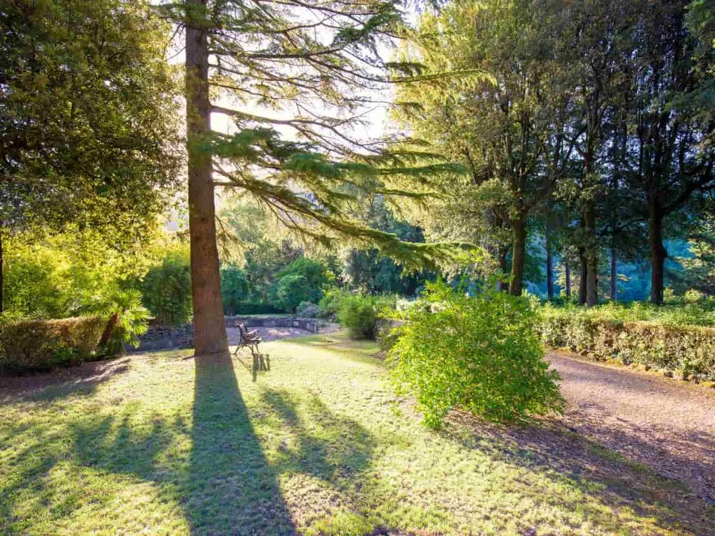 Giardino