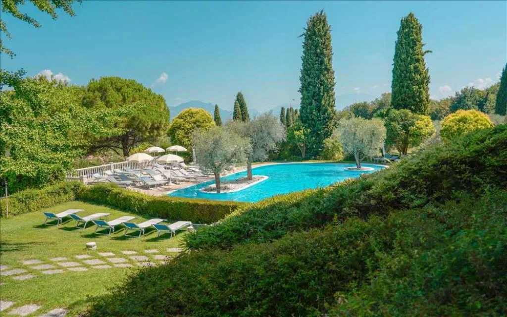 Piscina con isole di ulivi vista dal giardino con lettini e siepi