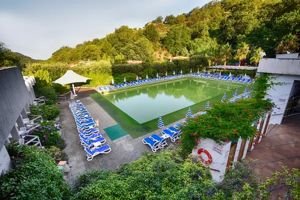 Hotel Grand Hotel delle Terme a Acquappesa