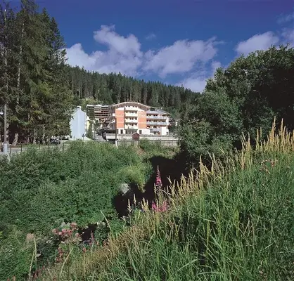 Hotel HOTEL IDEAL - MADONNA DI CAMPIGLIO a Madonna di Campiglio