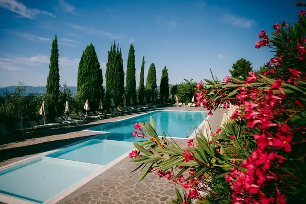 Hotel FATTORIA DEGLI USIGNOLI a Reggello
