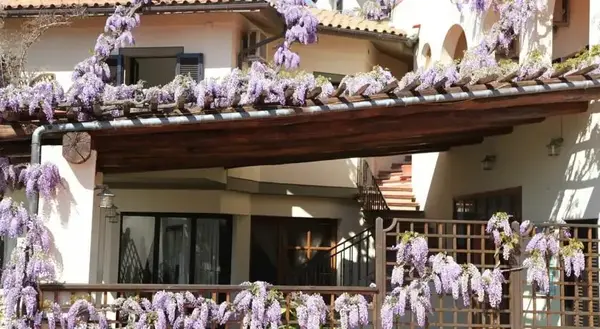 Hotel Hotel Galli - Wellness & Spa a Campo nell'Elba