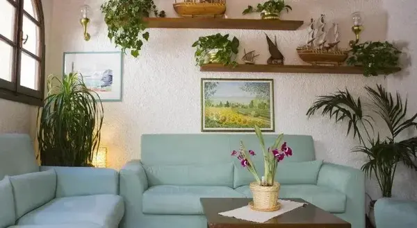 Hotel Hotel Barsalini a Marciana - Isola d'Elba