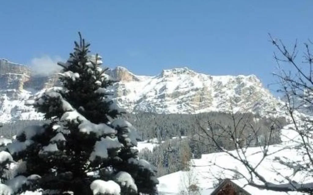 Vista invernale sulle Dolomiti innevate con abete in primo piano