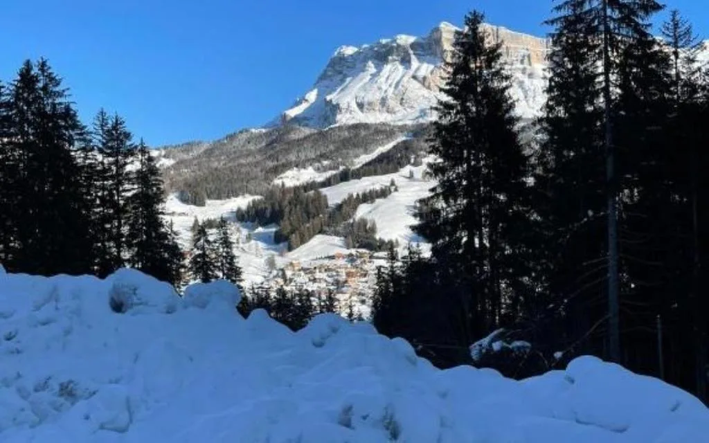 Vista panoramica su paese e montagna innevata attraverso gli abeti