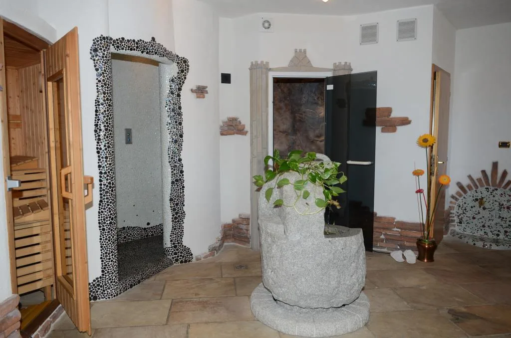 Zona spa con sauna, bagno turco e fontana in pietra con pianta decorativa