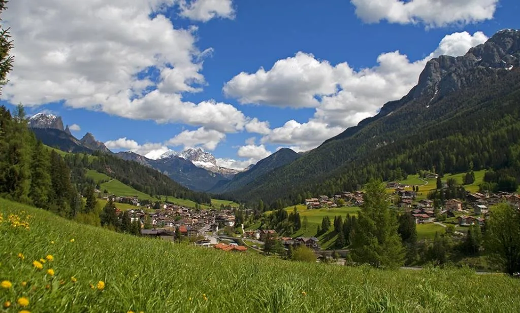 Panorama estivo della valle con prato fiorito, paese di montagna e cime delle Dolomiti