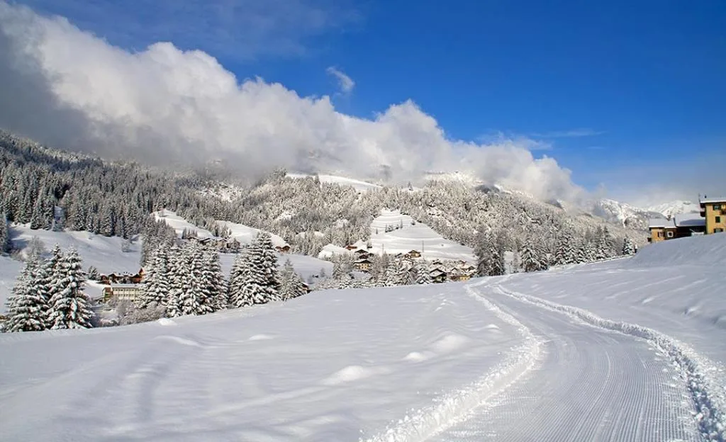 Paesaggio invernale innevato con pista battuta, abeti e paese di montagna