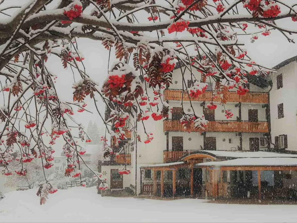 Hotel innevato durante una nevicata con ramo di sorbo carico di bacche rosse in primo piano