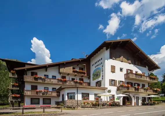 Hotel Hotel Stella Alpina a Bellamonte
