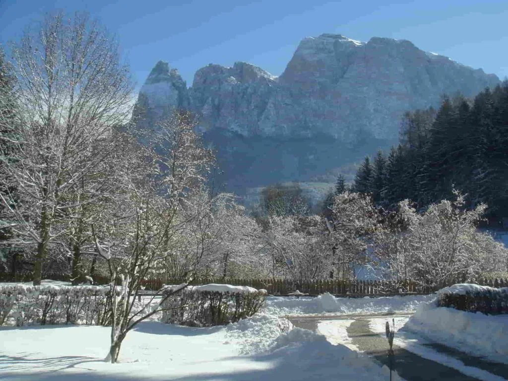 Paesaggio innevato con montagne e alberi ghiacciati